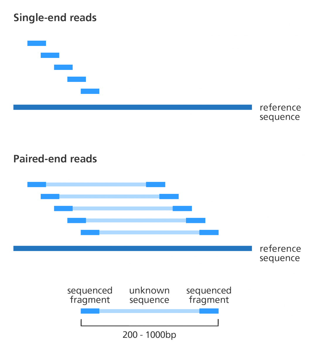 :scale 50%